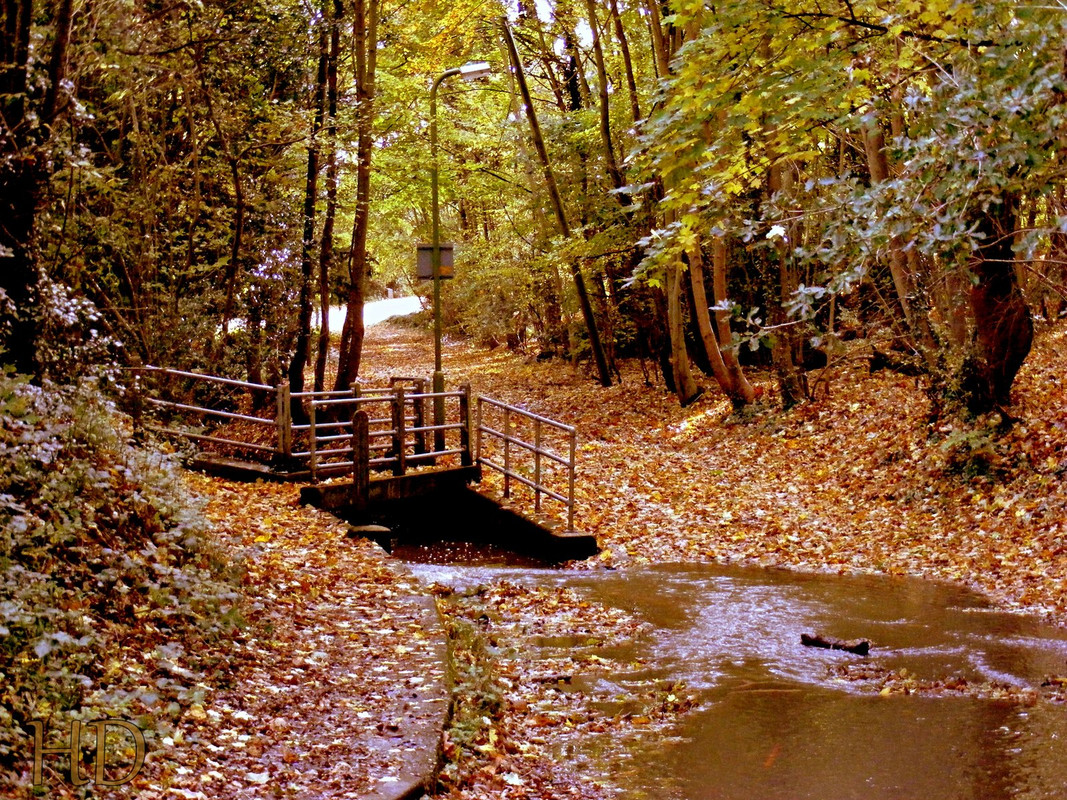 autumn-B-Park-stream-HD.jpg