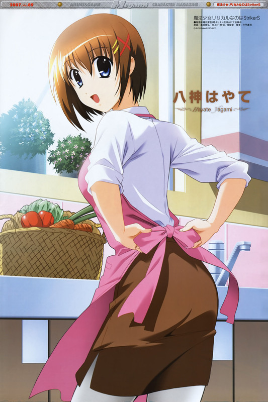 yagami-hayate-lyrical-nanoha-and-2-more-drawn-by-okuda-yasuhiro-ab2395ddb25b11a1c05a538cdd1cfb7b