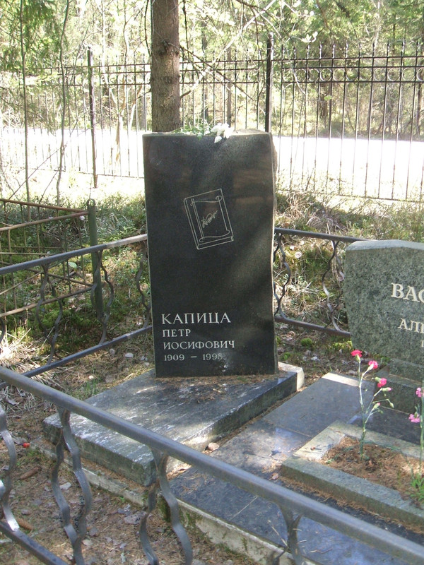 grave-kapitza-p-i
