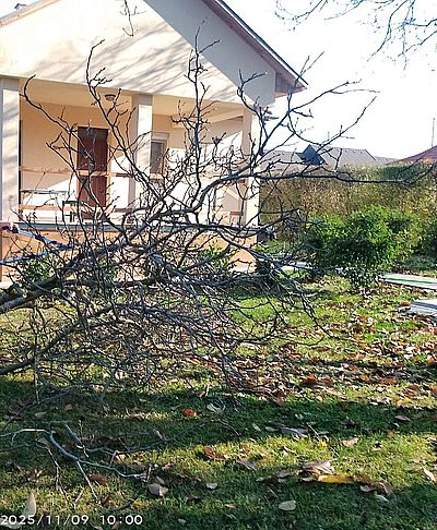 https://i.postimg.cc/9f0XfpyW/diofaag-levagva-20251109.jpg