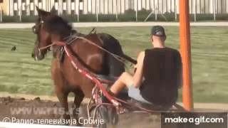 IMG-0394.gif