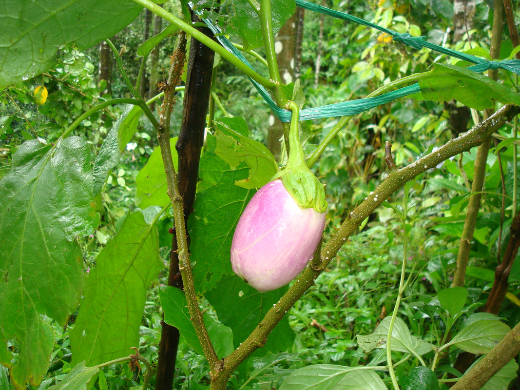 DSC06570