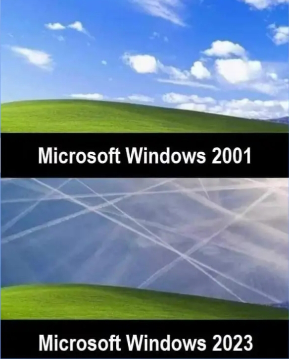 windows