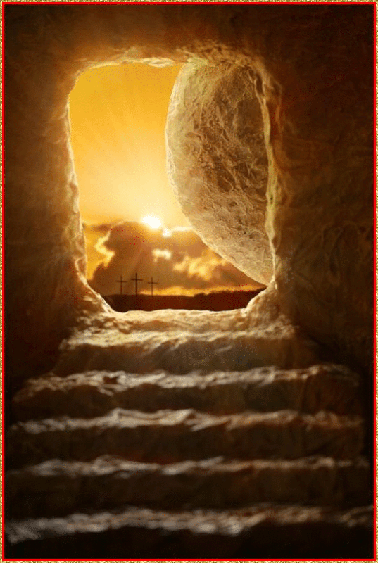 155575722652319731-6