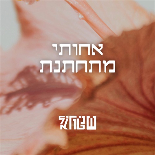 תמונה
