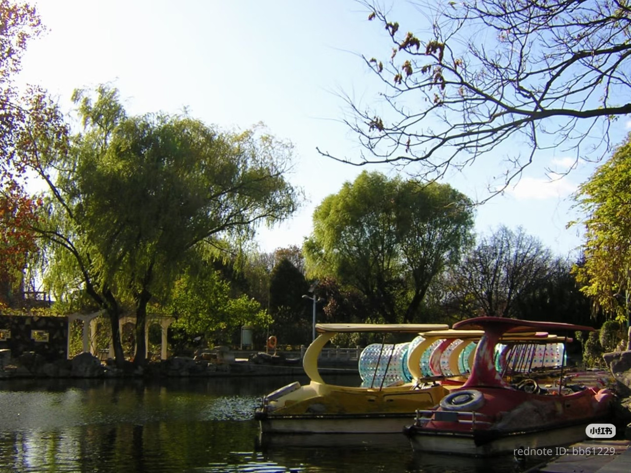 photo 9 2025 12 24 16 22 41