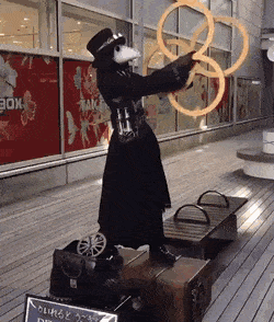 GIFs-1