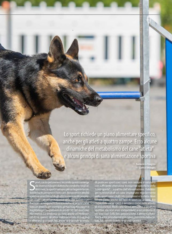 Il M C Mar-Apr 2024 (2)