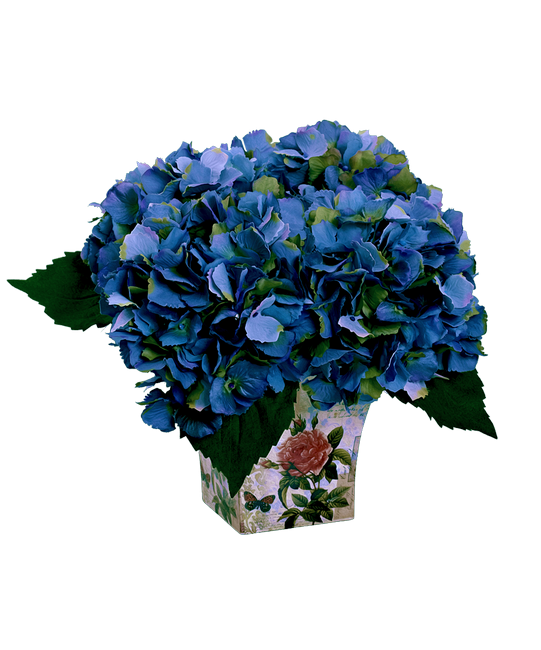 PeacockDreams_MM_Element (150)