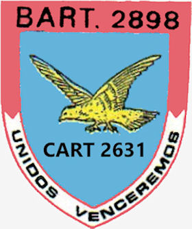 CArt2631