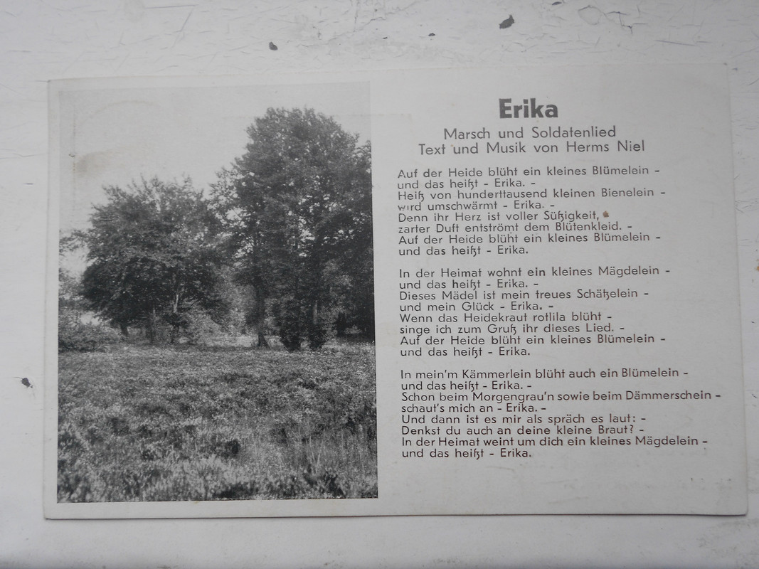 Изображение 1037