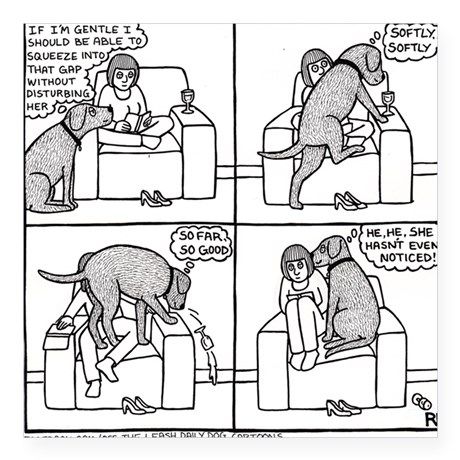 18FF4DD7-7770-457F-A8C6-9EE56D1E2962