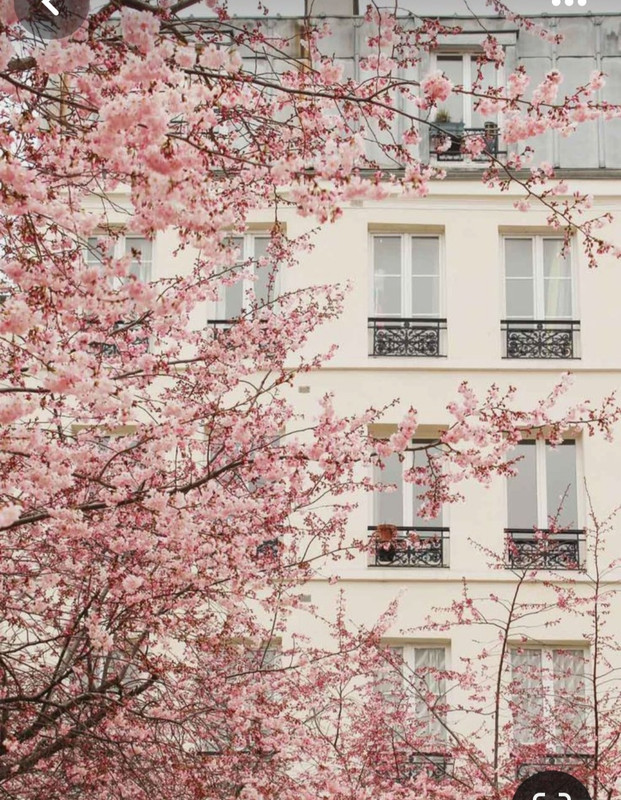 Screenshot_20240330_233124_Pinterest