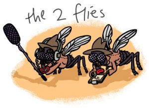2-flies-300x217[1]