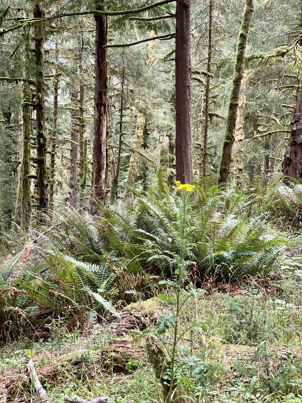 ABE3E384-305E-4D71-8282-EE2C4DFDD4CA