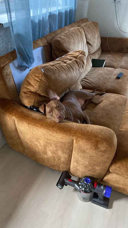 50523998-D269-4708-9428-A3F27FC5BDB9