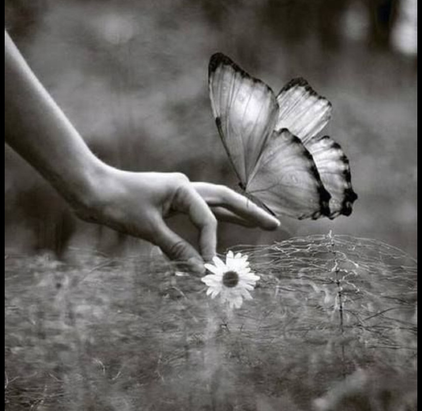 Screenshot_20251004_222131_Pinterest