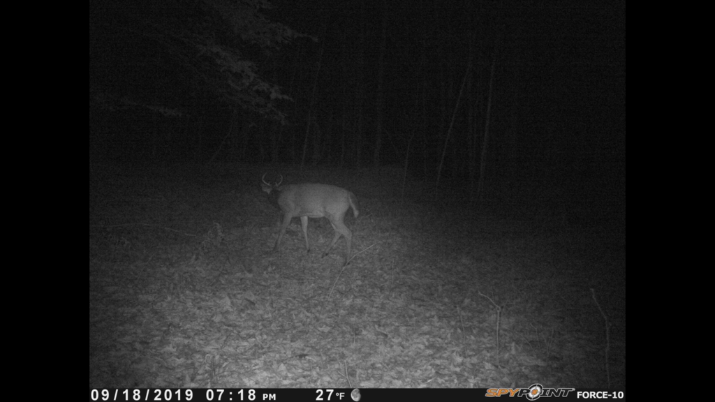 0E2D127C-288B-4CF1-9D71-74A1AC02CFDE