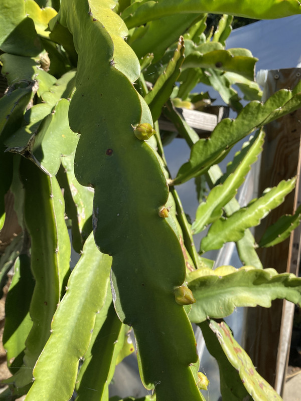 AA94F1CF-DF6B-48C3-8086-275BAC8CBAF9