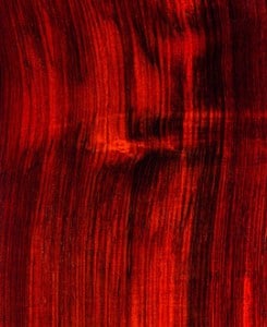 brazilskijj-palisandr-245x300