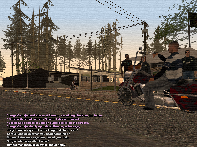 ssroleplay1071.png