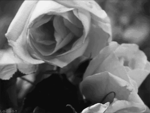 1fleur_déco4