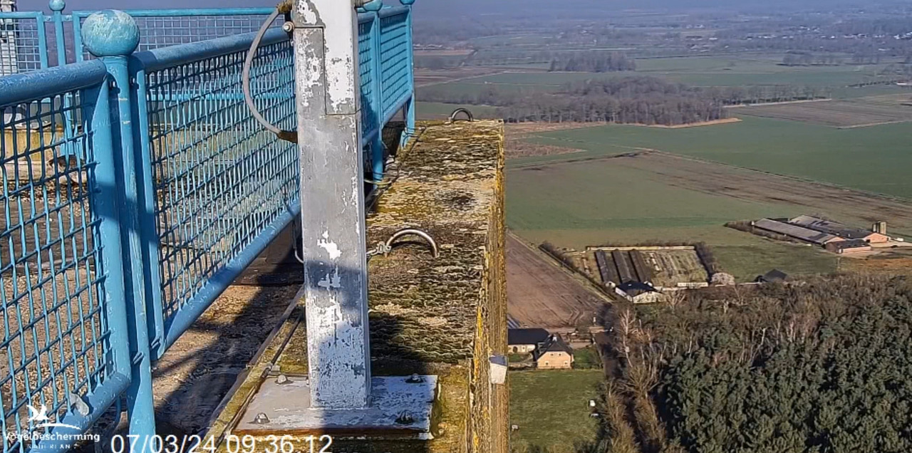 screenshots VWGGemert/Vogelbescherming Nederland. 2024-03-07-095729