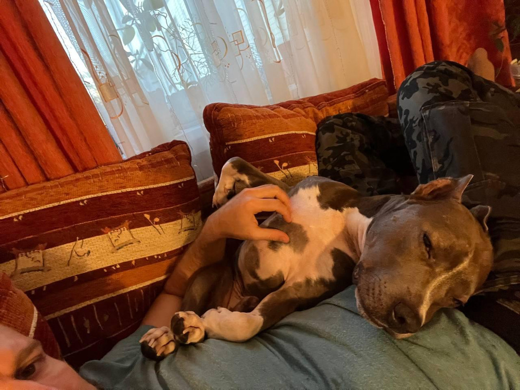 3BE0CF38-7C75-4C38-99FB-0A66460B698D