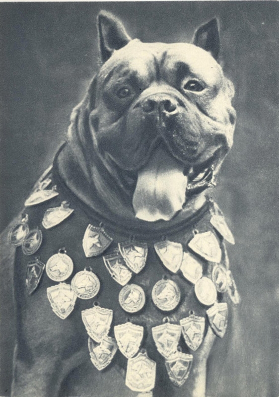 Боксер 1969 Планета 9