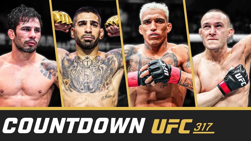 Обратно броене до UFC 317