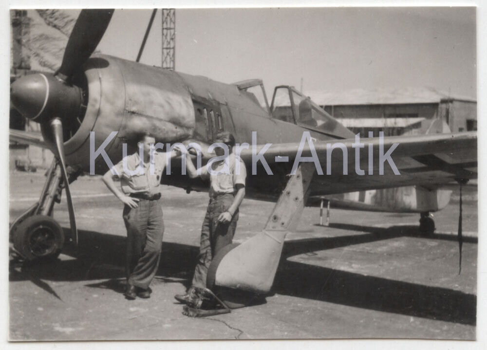 MD053 Foto Wehrmacht Luftwaffe Flugzeug FW190 Süd Front DAK Afrika TOP Portrait