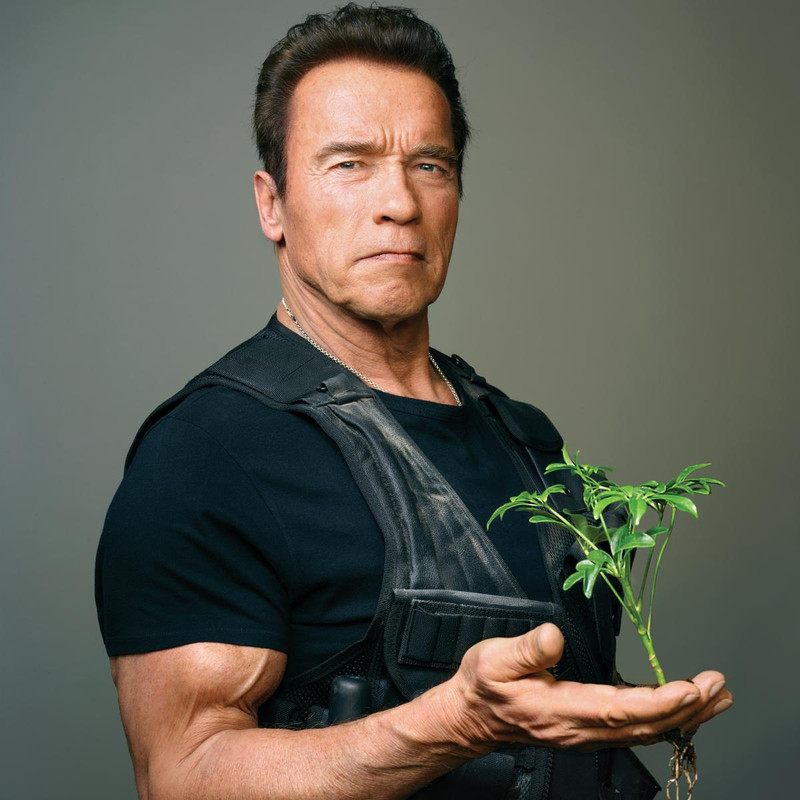 Arnold Schwarzenegger e la Dieta Vegana all'80%