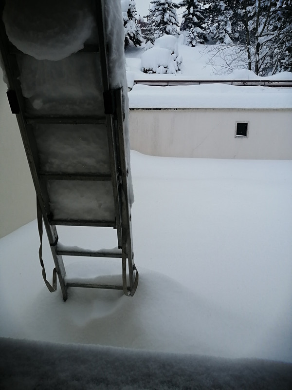 Apartment window 9/12/21