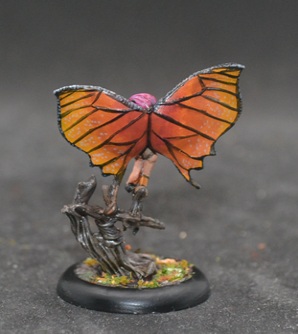 [Image: DSC_0407.jpg]