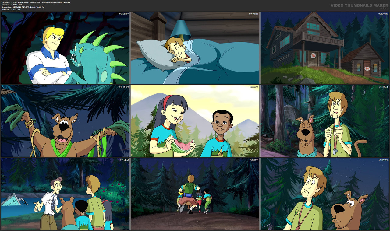 What's New Scooby-Doo S03E08 Camp Comeoniwannascareya.mkv