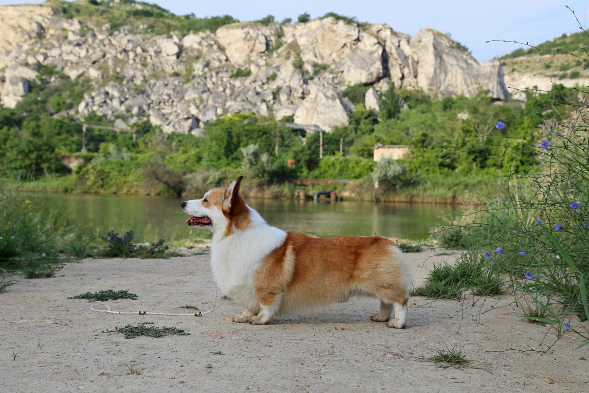 IMG_6699 3.07.21  супер