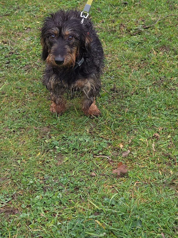 [Image: IMG-20251110-WA0021.jpg]