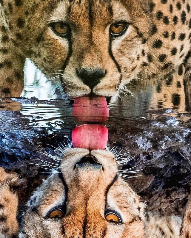 destination_wild___B3XPhNSJOFO___