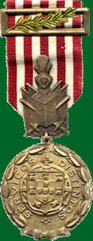 Servi-os-Distintos-cobre-350-vd