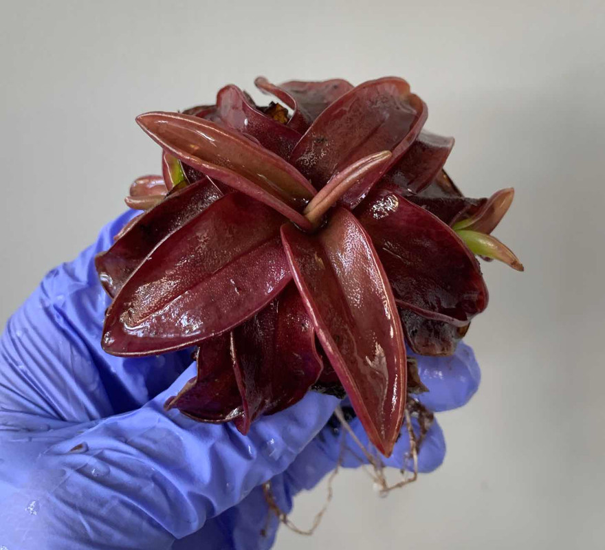 4D768346-D6AB-4905-8916-AE123B81BA7A