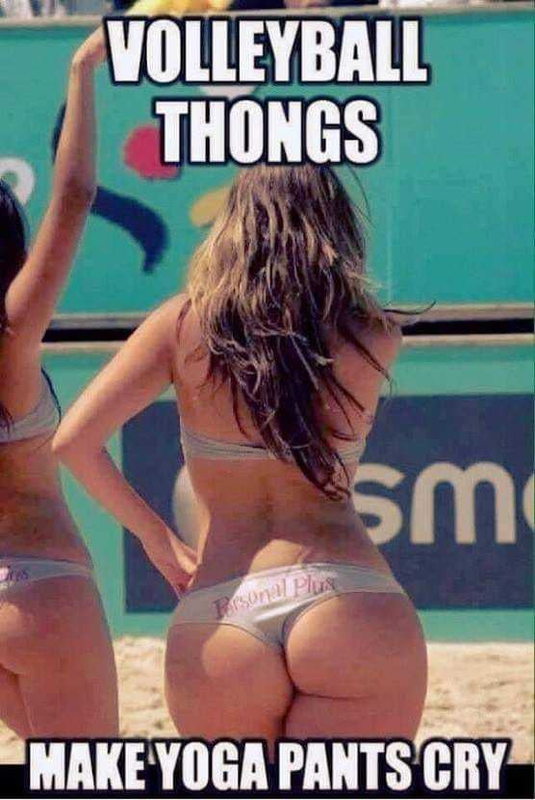 Screenshot 2026 03 23 at 10 02 17 Post a MEME Thread Page 5663 Yellow Bullet Forums