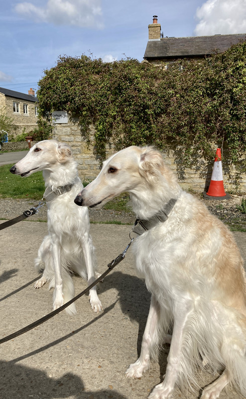 68F75111-1621-4D6F-8E04-36C9AABF81D5