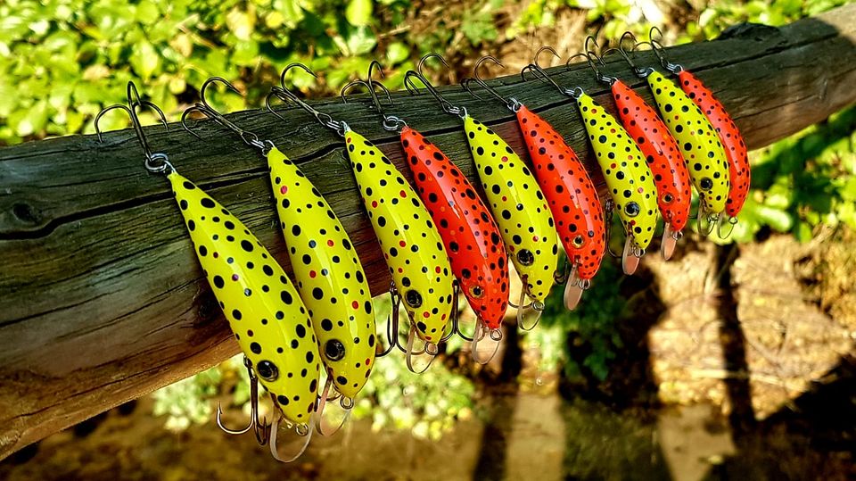 245508957-2043496272483209-3711846180146