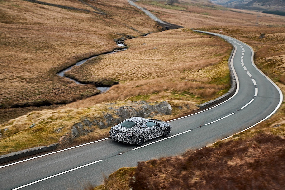 BMW 8 Series Coupe (31)