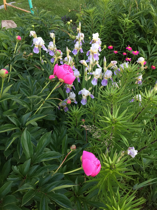 E2372767-8A42-44A6-985E-8698158E69B8