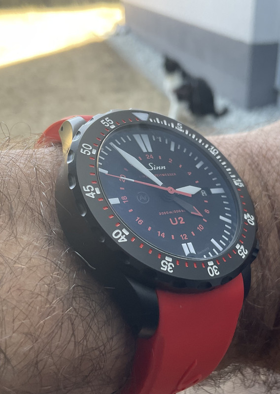 E748DE88-7F36-4D07-9E37-EDB06E1978A4