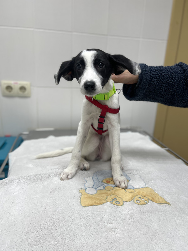 8D619EC1-8D12-44F3-BE53-08C9FFD6F901