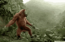 35863-FB7-EAA6-4-ADA-BF16-850-A34-E79405.gif