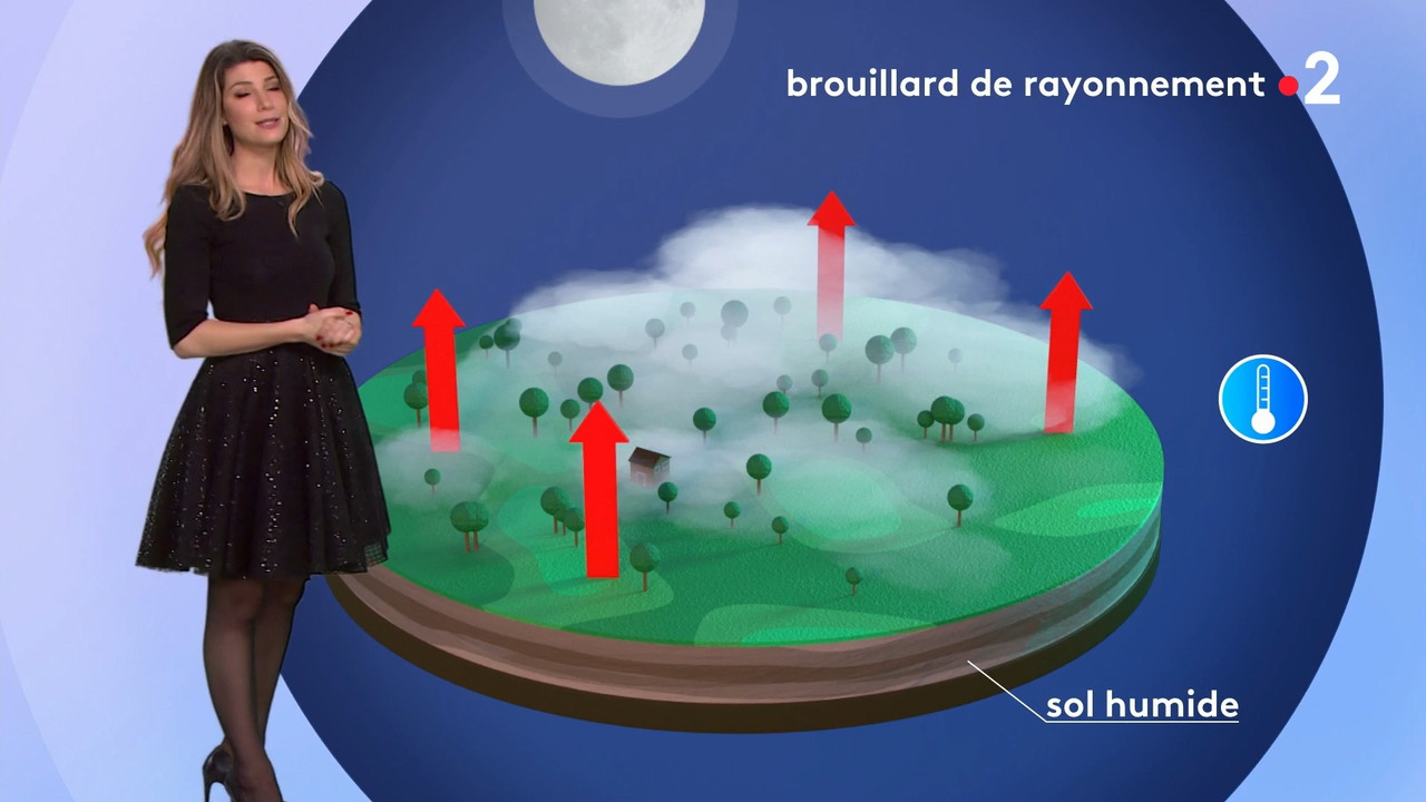 2021-12-31_20_35_Fr2_Meteo.mp4_snapshot_07.39.561