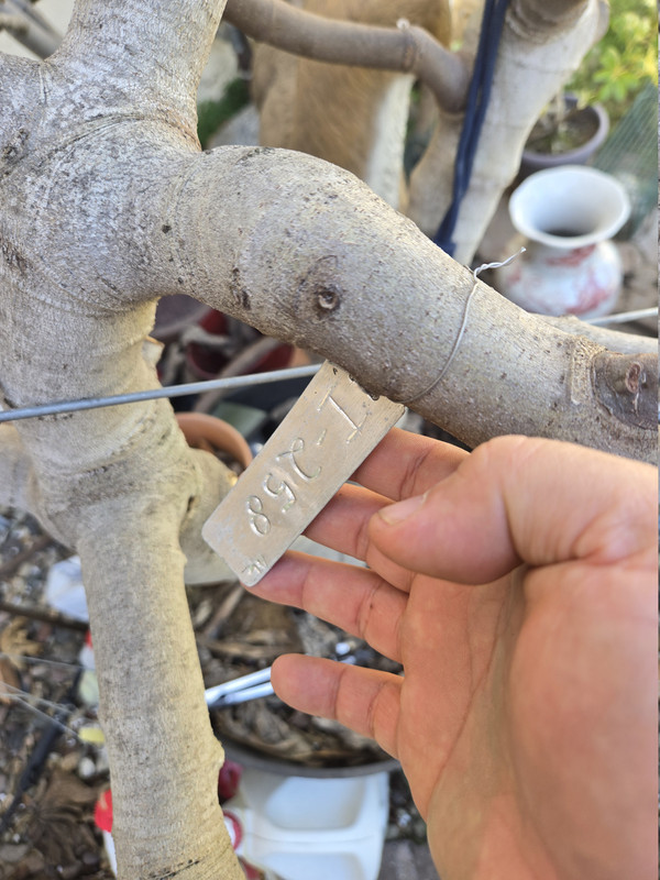 177057975716457143271578915305